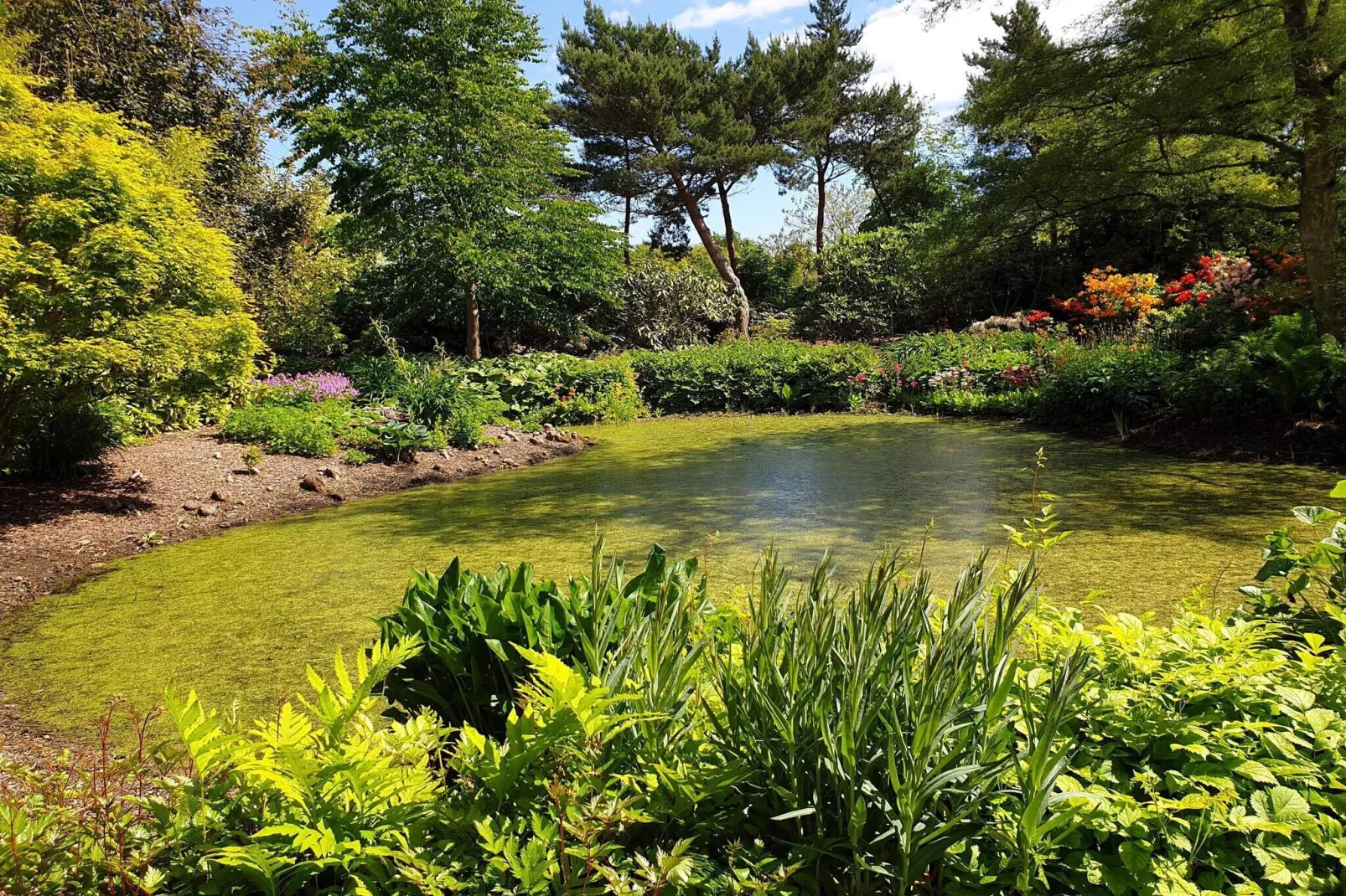Historischer Wasserturm Ruckzugsort-By Traum-Wasserblick