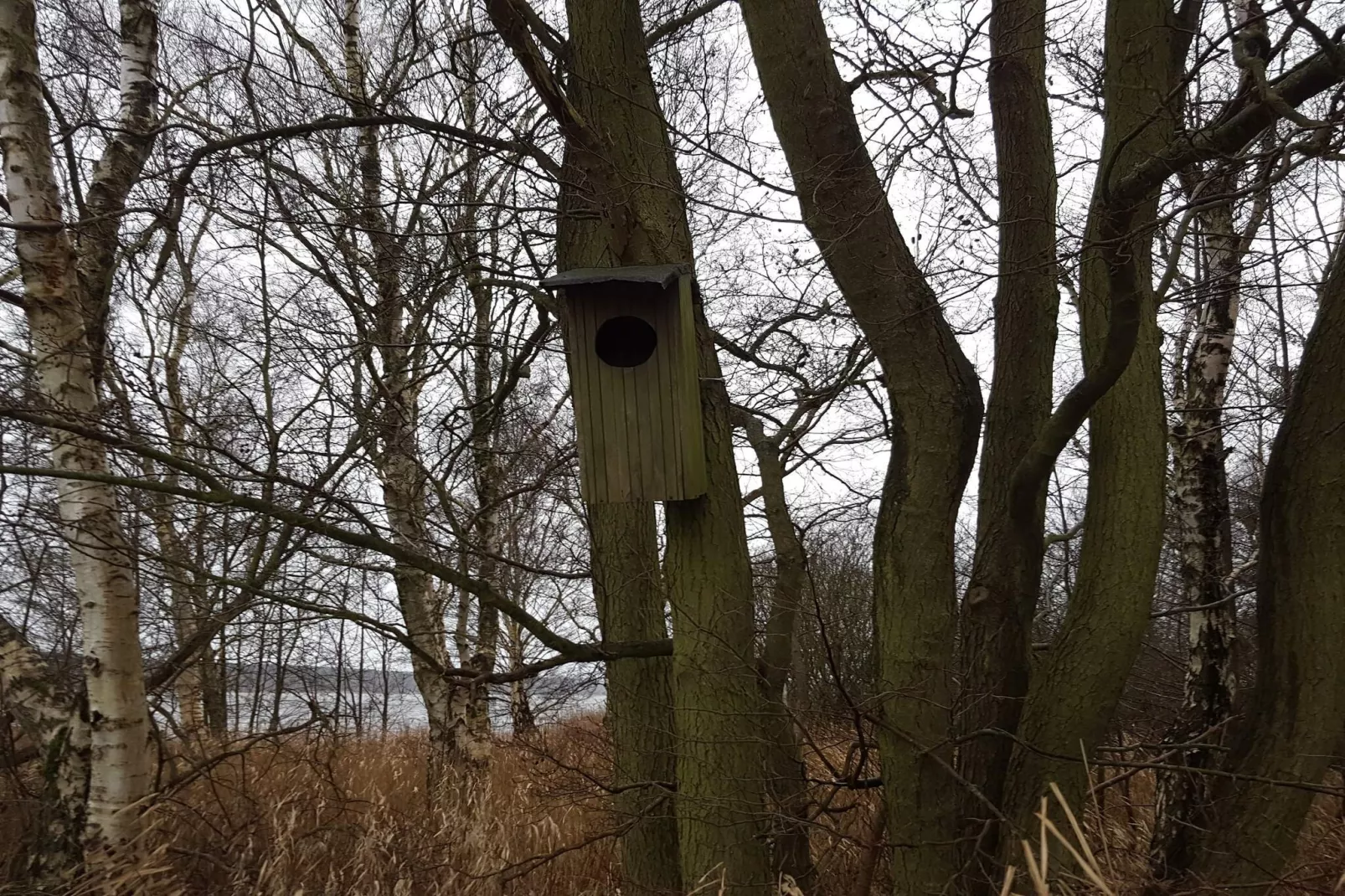 8 Personen Ferienhaus in Ebeltoft-Nicht zugeordnet