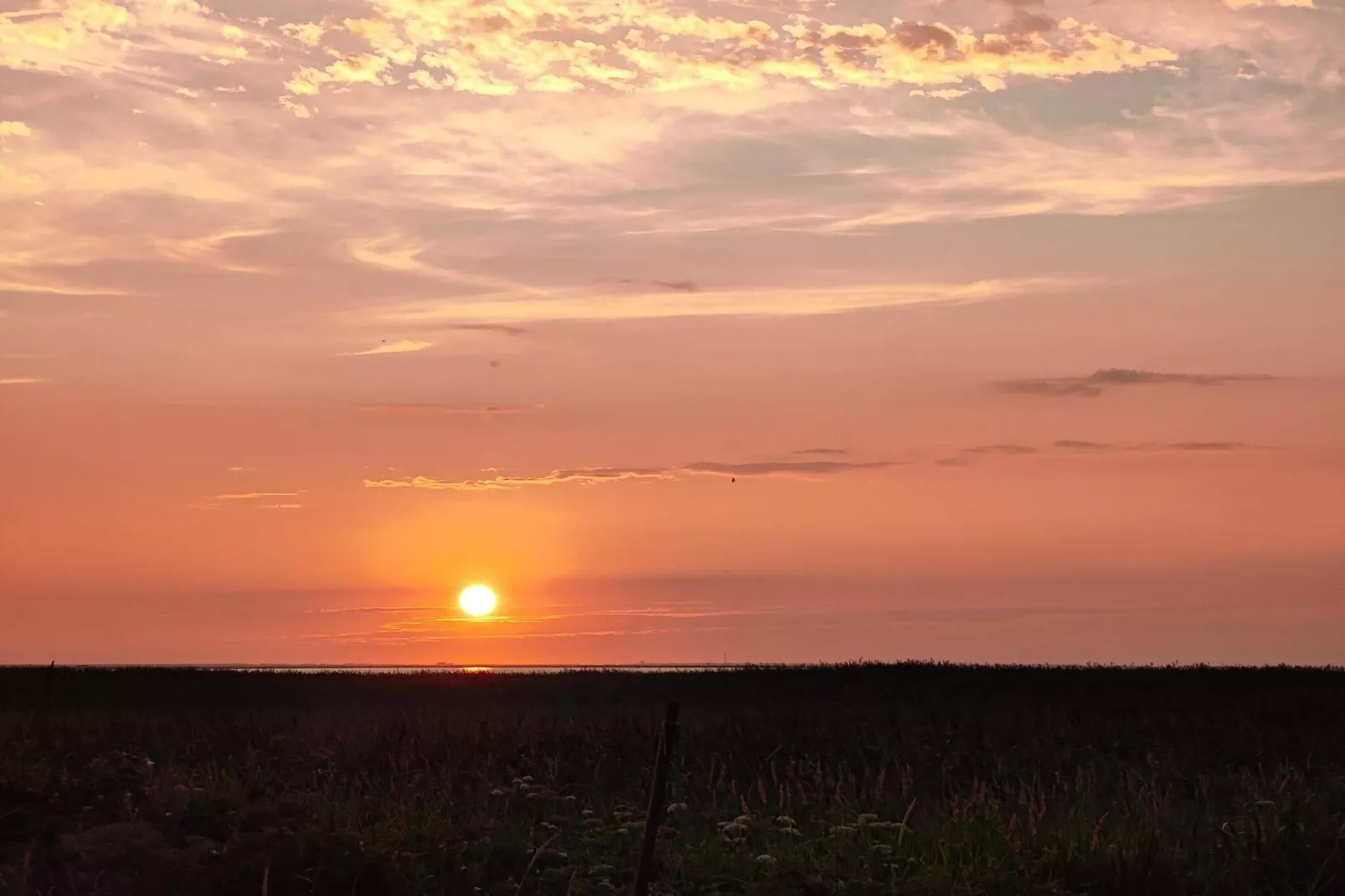 8 Personen Ferienhaus in Ulfborg-Nicht zugeordnet