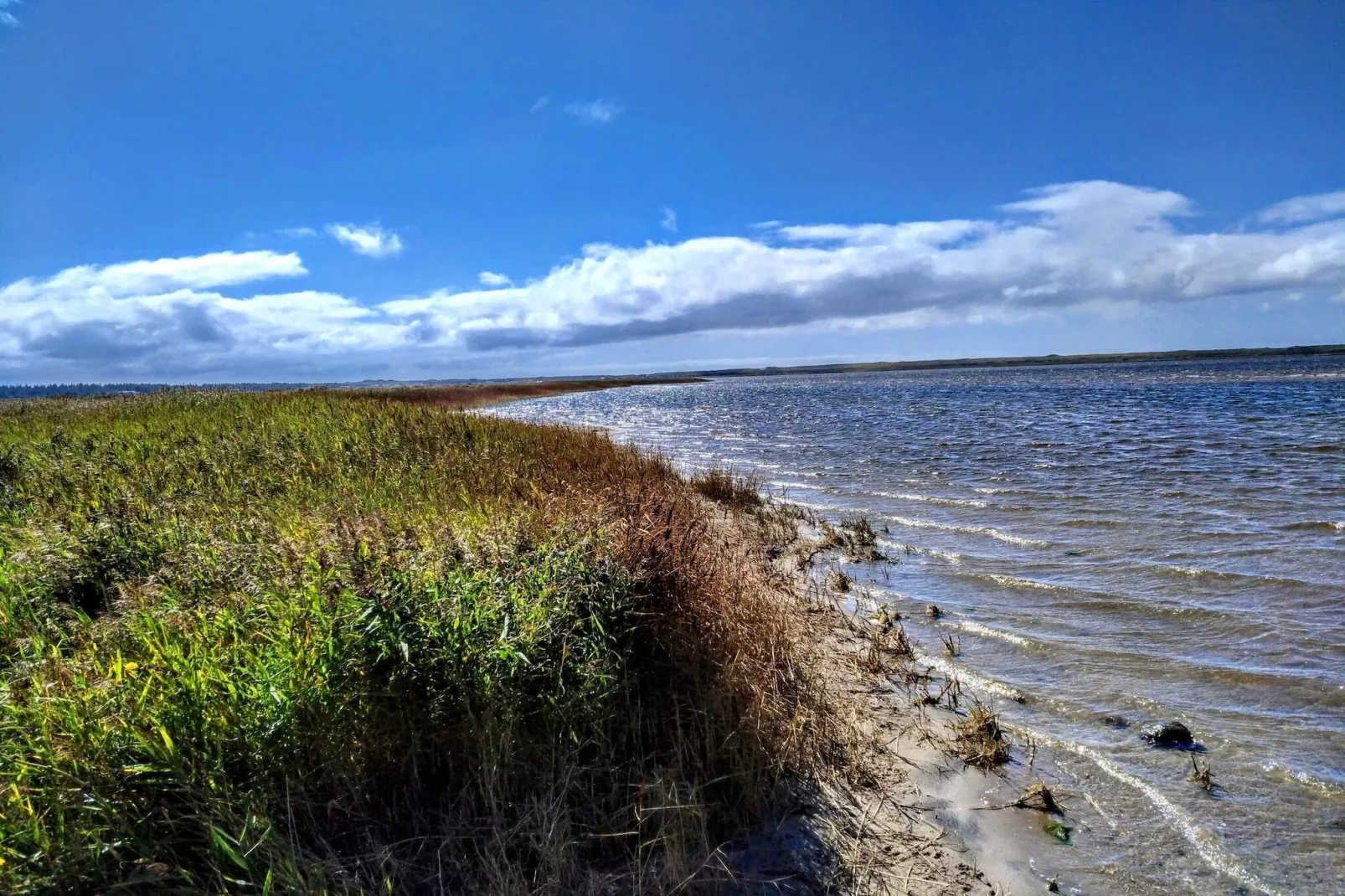 6 person holiday home in Ulfborg-Water view