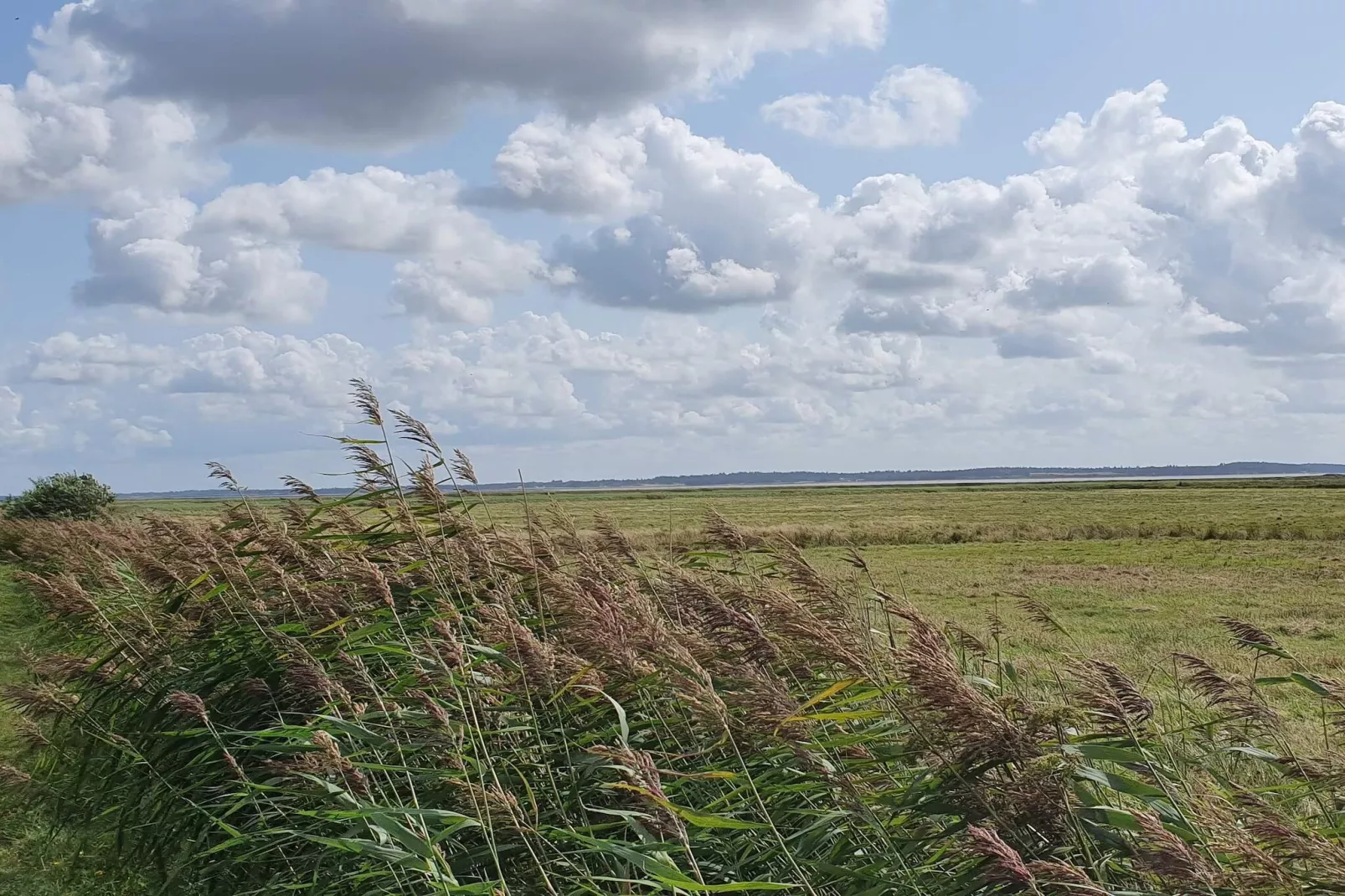 4 person holiday home in Oksbøl-Untagged