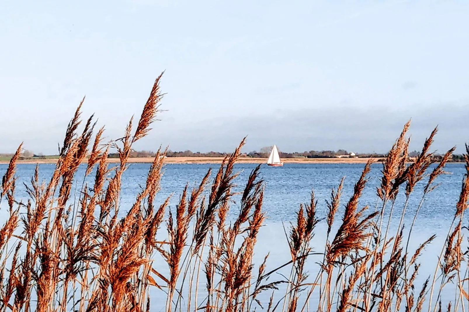Maison de vacances pour 6 a Kirke Hyllinge-Vue sur l'eau