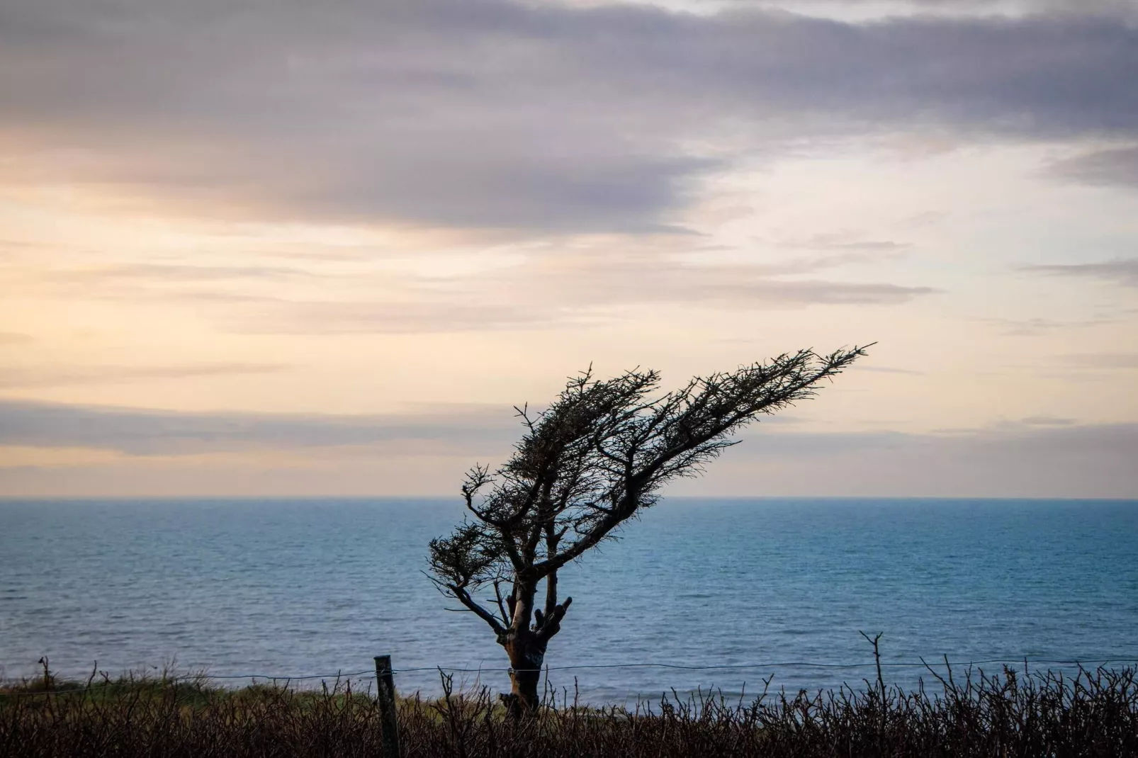 8 person holiday home in Hjørring-Water view