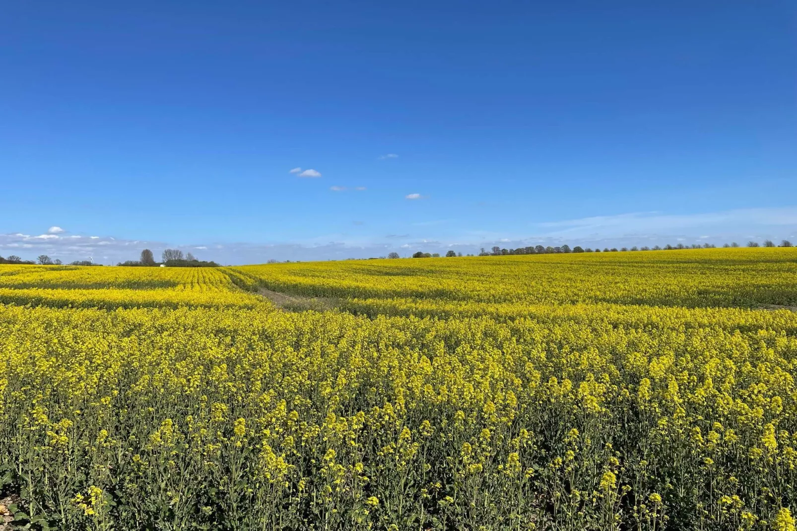 Maison de vacances pour 4 a LÖDDEKÖPINGE-Non tagué