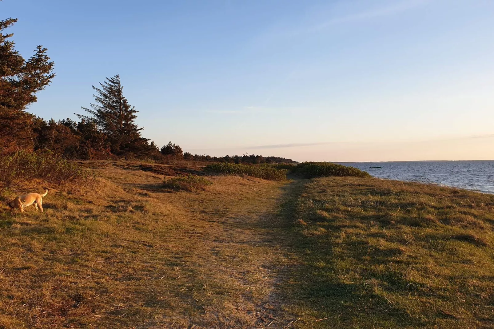 8 person holiday home in Hemmet-Water view