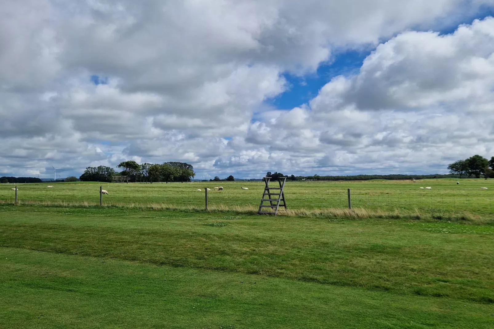 Maison de vacances pour 3 a FALKENBERG-By Traum-Non tagué