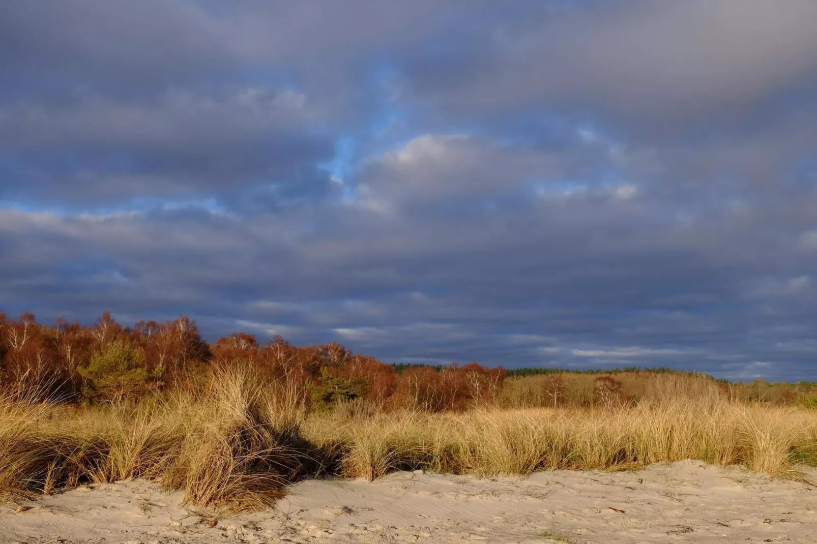 6 person holiday home in Ebeltoft-By Traum-Water view