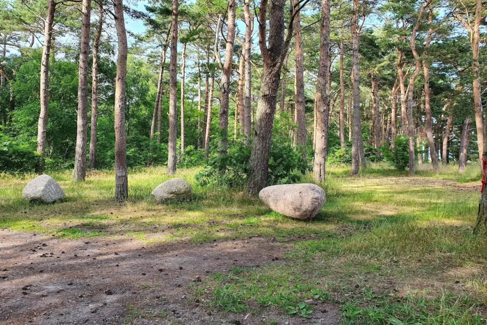 6 person holiday home in Löderup-By Traum-Untagged