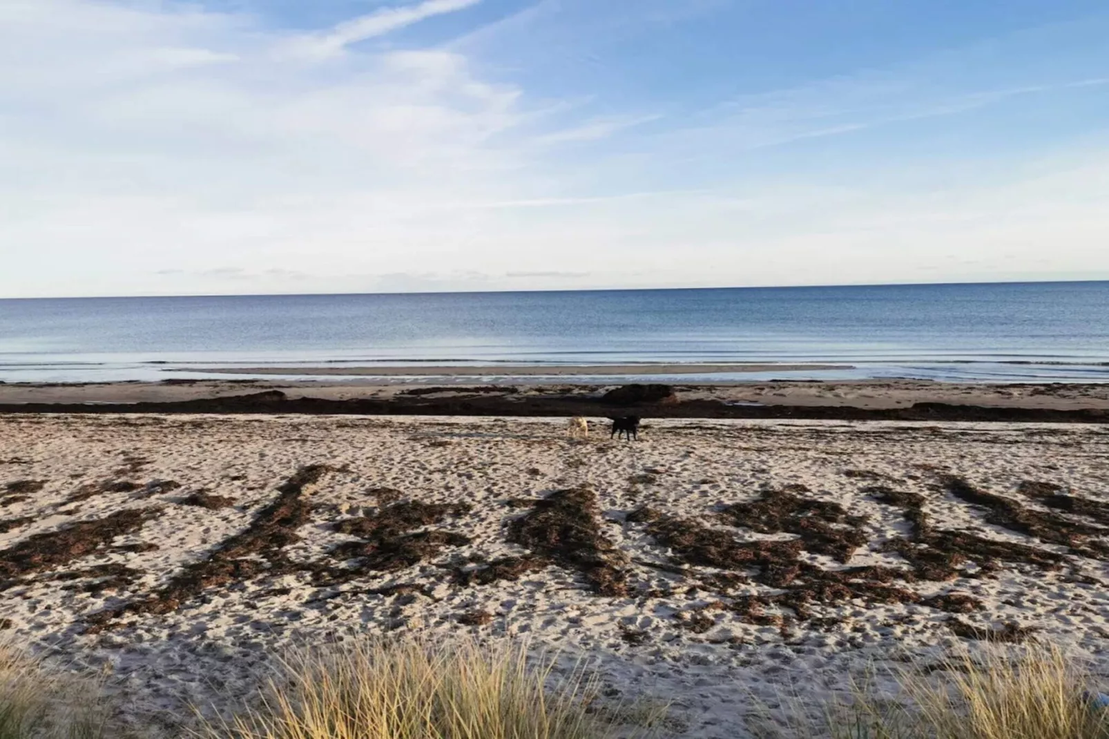 3 room,close to the sea/dike,renovate-Wasserblick