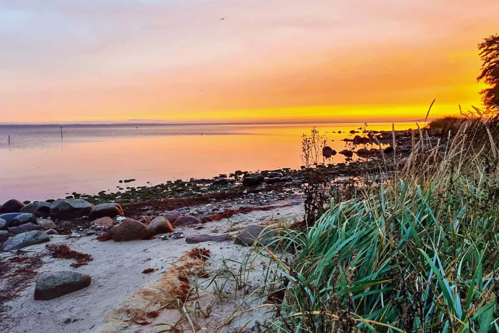 6 person holiday home in Aabenraa-By Traum-Water view