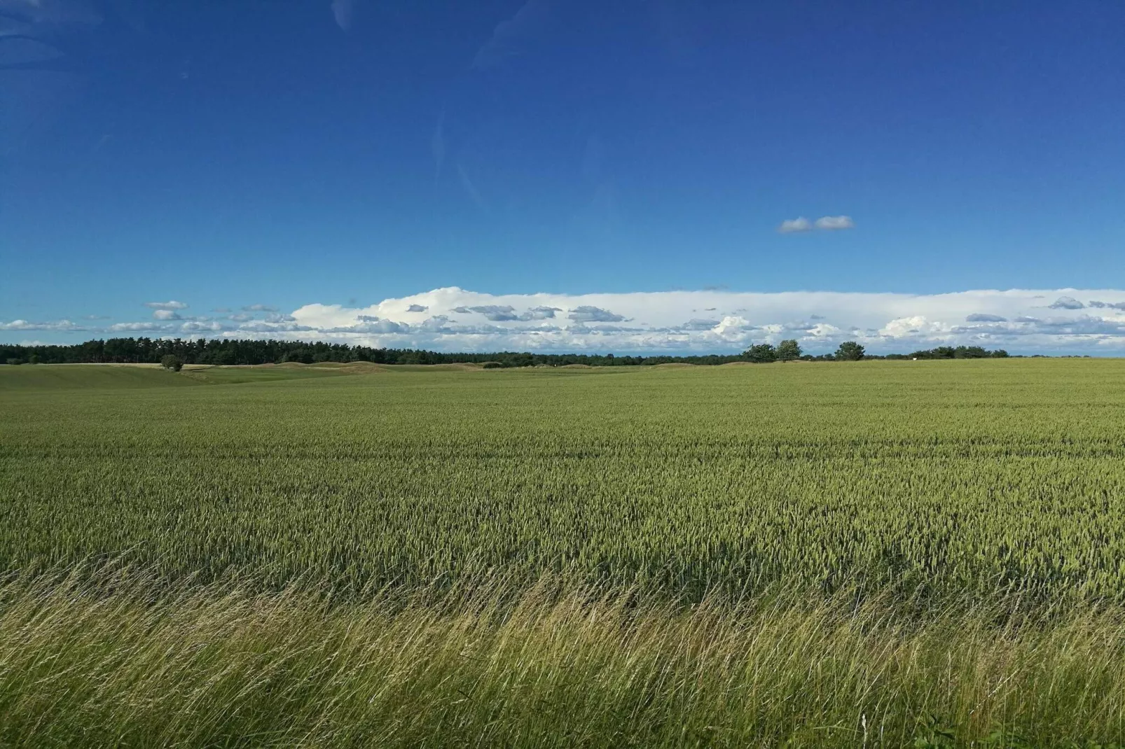 6 person holiday home in DEGEBERGA-By Traum-Untagged