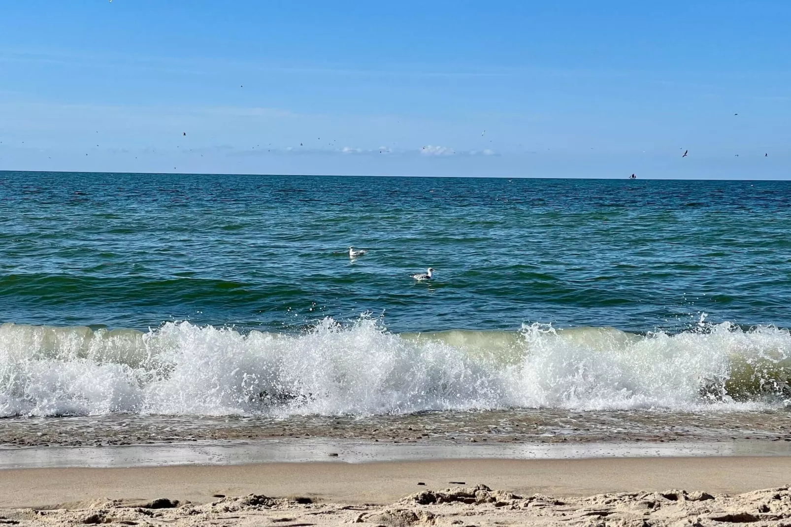 Évasion en bord de mer avec vue -- By Traum Ferienwohnungen-Vue sur l'eau