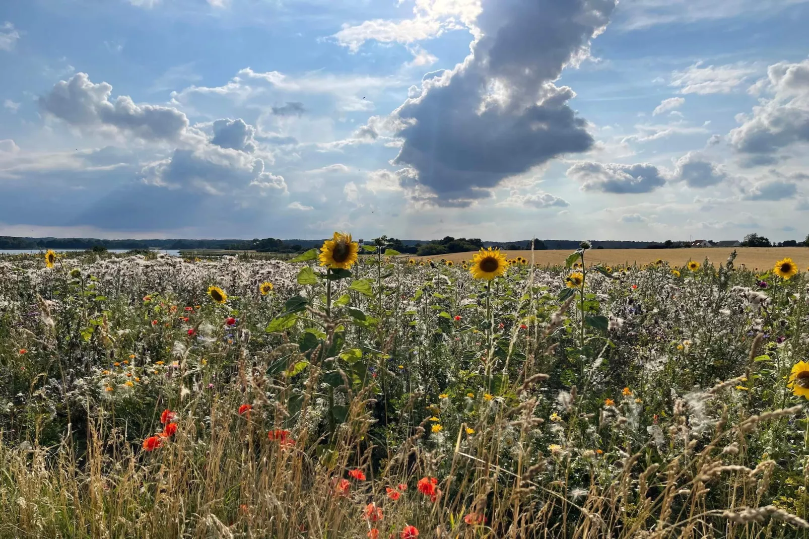 Maison de vacances pour 6 a Præstø-By Traum-Non tagué