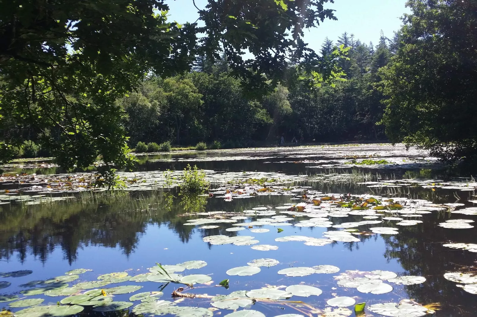 5 Personen Ferienhaus in Skagen-By Traum-Wasserblick