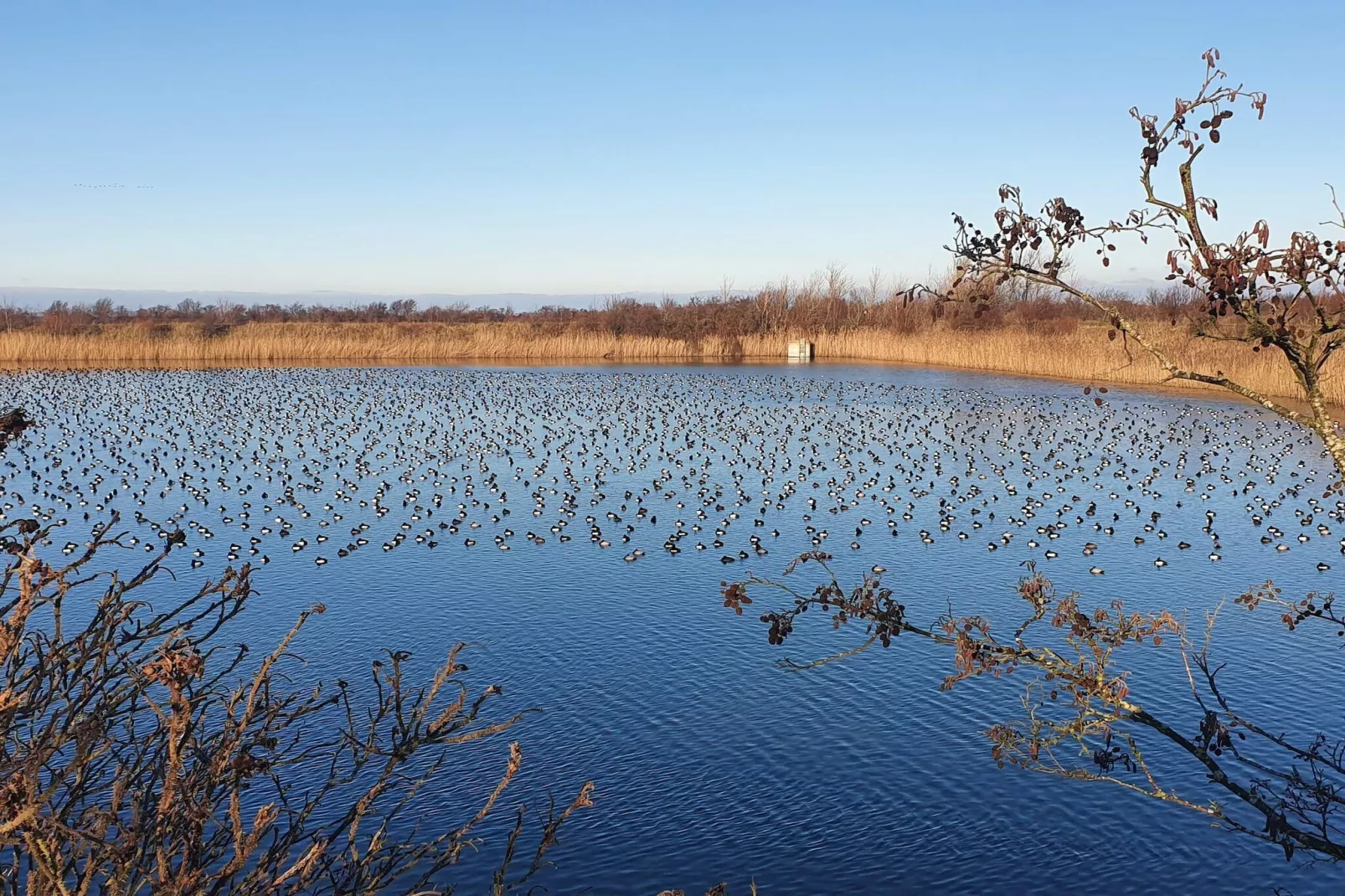 Maison de vacances pour 7 a Stege-By Traum-Vue sur l'eau
