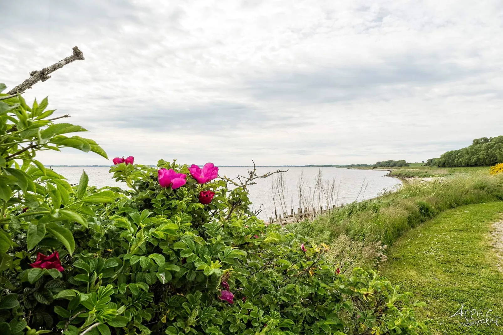 Seaside Rustic Retreat - By Traum Ferienwohnungen-Water view