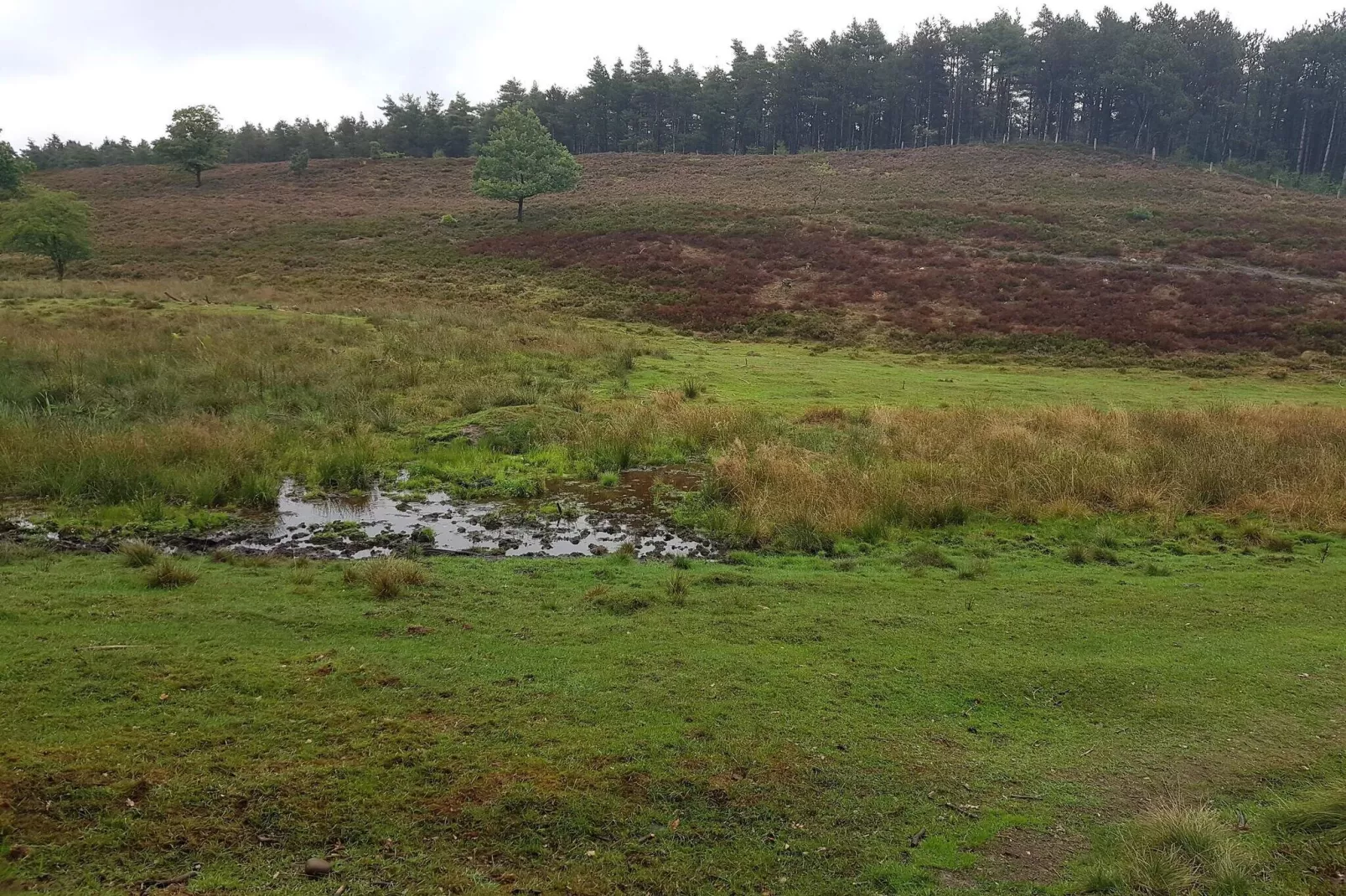 6 person holiday home in Silkeborg-By Traum-Untagged