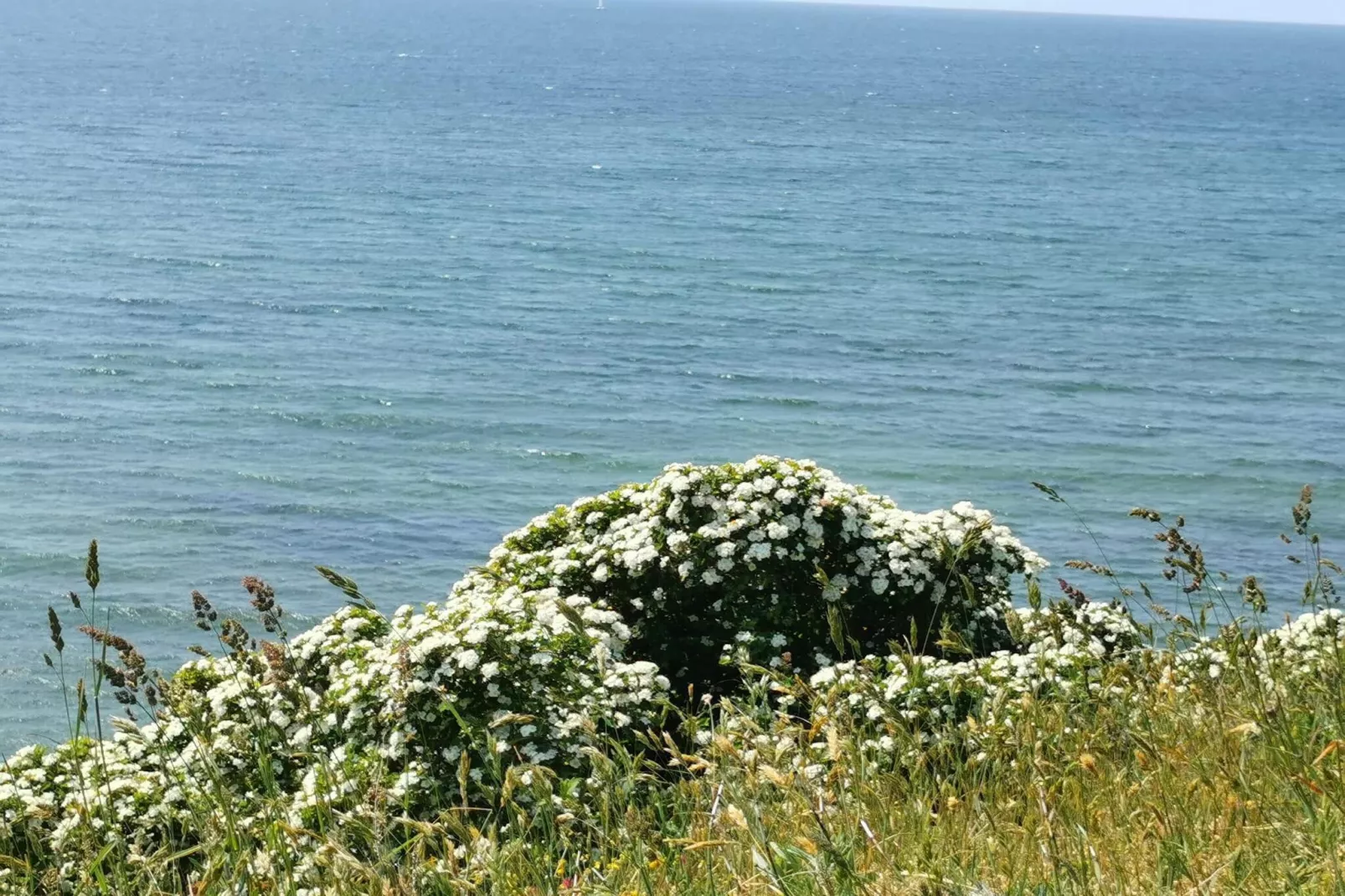 6 person holiday home in Humble-By Traum-Water view