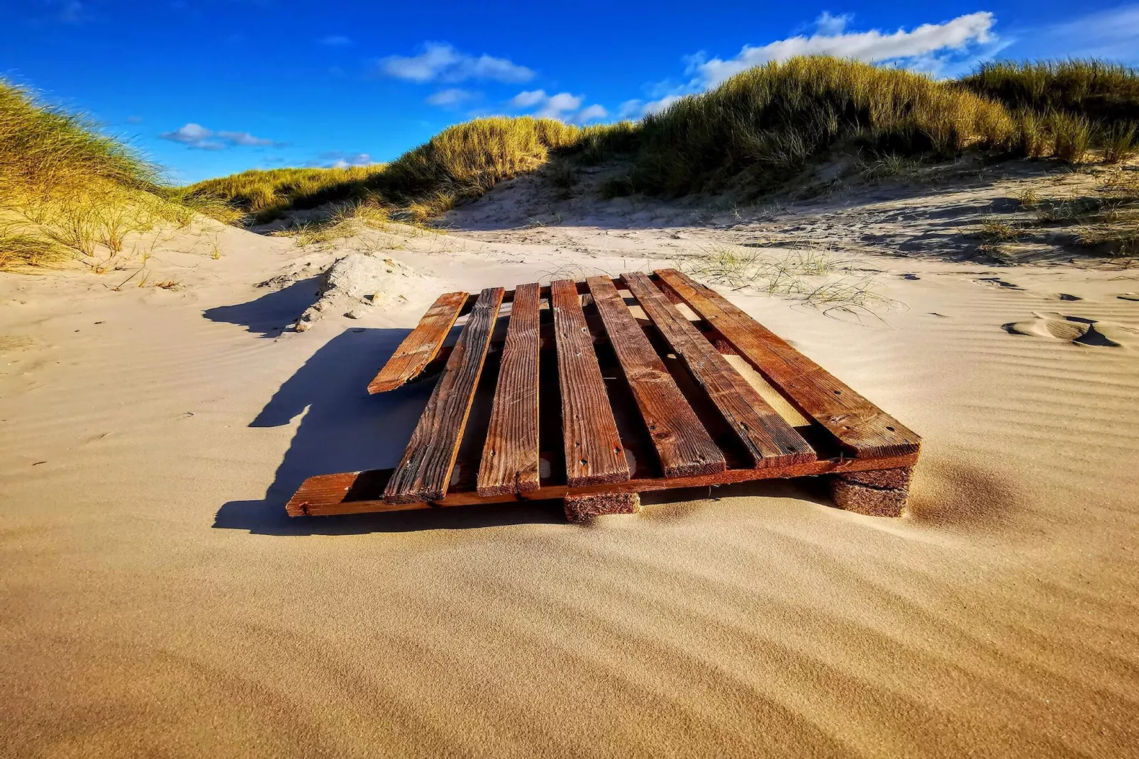Maison de plage de luxe a Blokhus -- By Traum Ferienwohnungen-Non tagué
