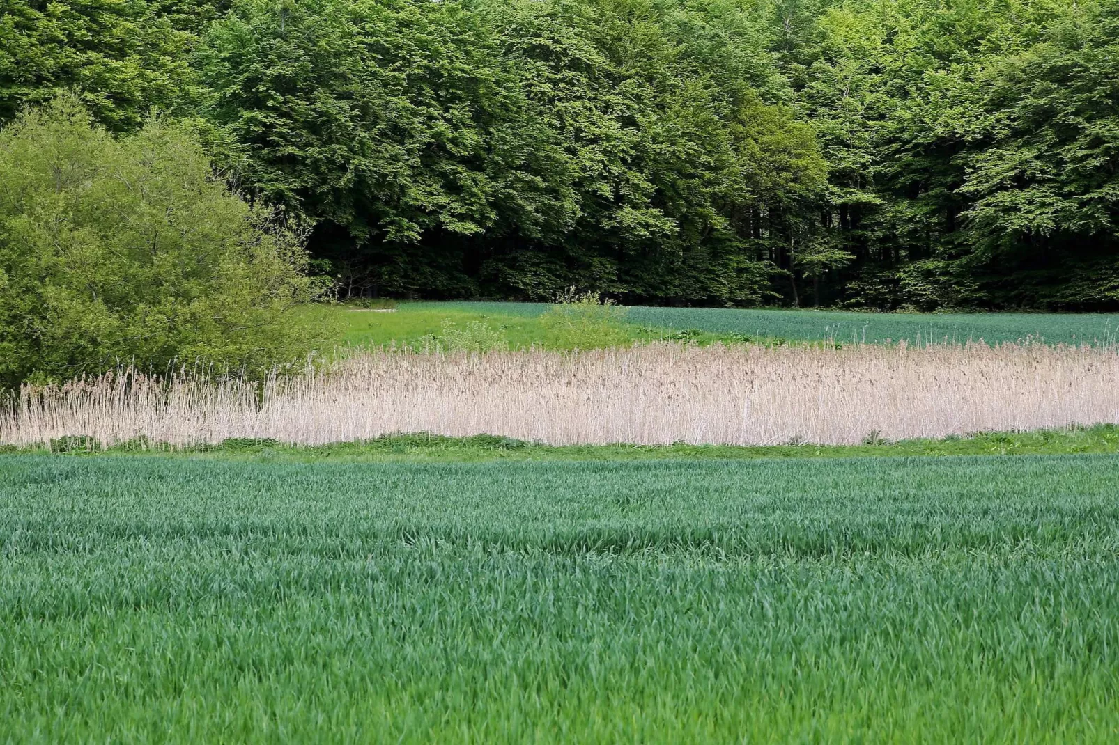 Villa de luxe avec piscine a Lohals -- By Traum Ferienwohnungen-Non tagué