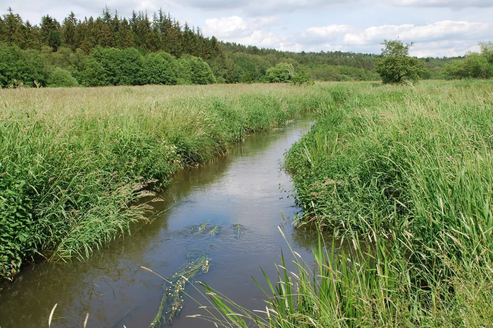 8 Personen Ferienhaus in Gjern-By Traum-Wasserblick