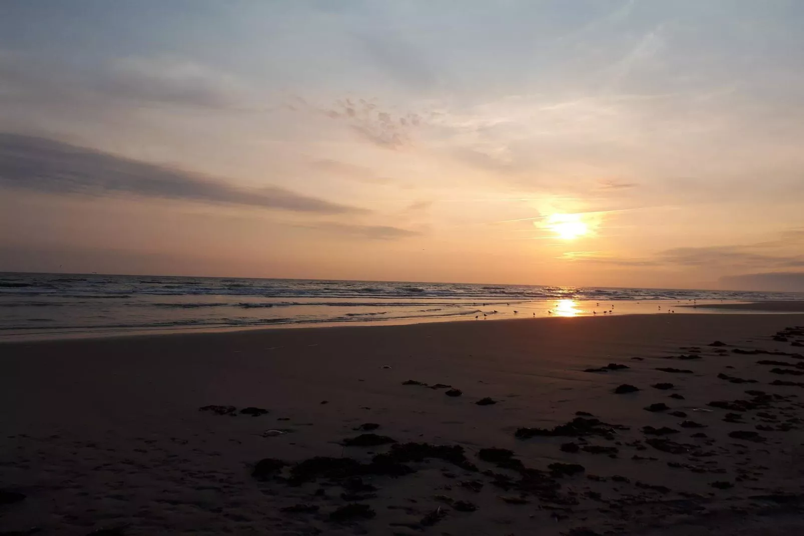 Maison de vacances pour 4 a Fanø-By Traum