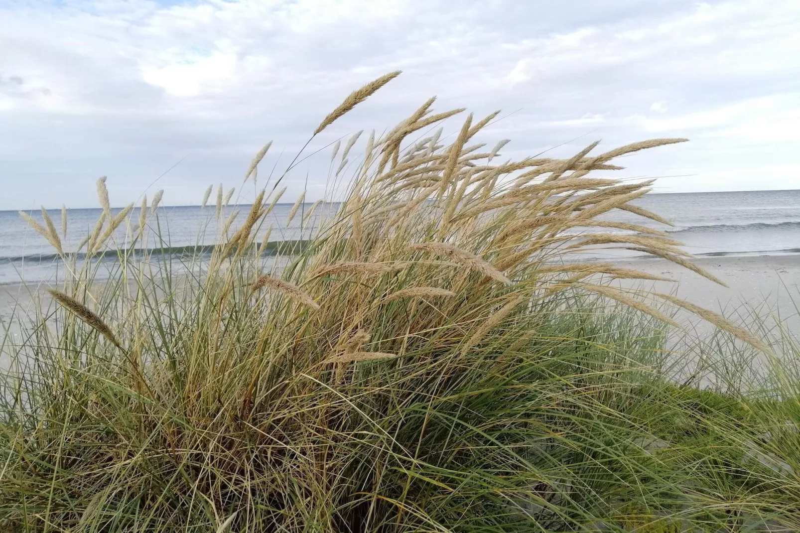 5 person holiday home in Strandby-By Traum-Water view