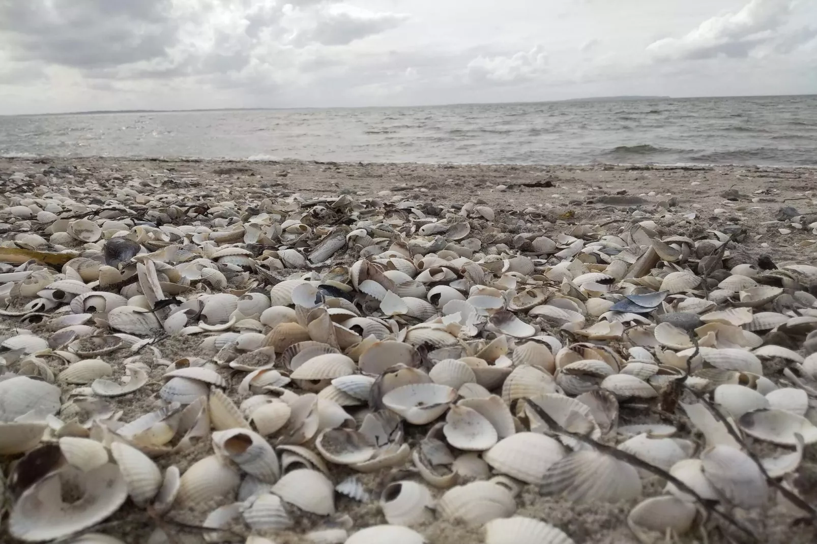 6 person holiday home in Løgstør-Water view