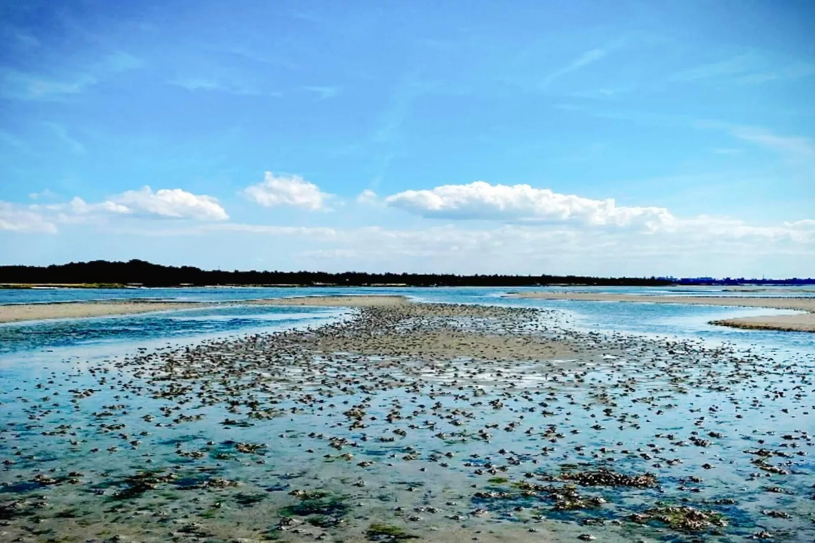 6 Personen Ferienhaus in Jægerspris-By Traum-Wasserblick