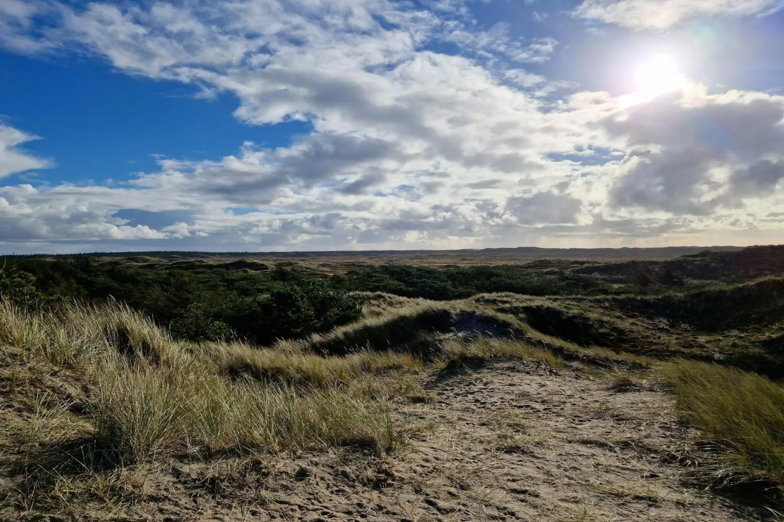 6 person holiday home in Ulfborg-By Traum-Untagged