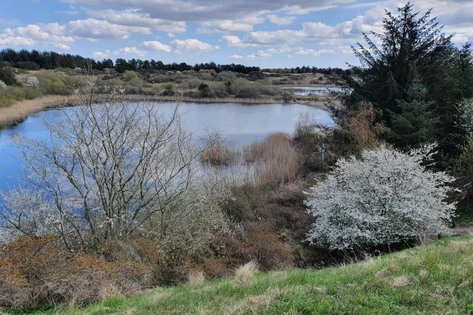 Maison de vacances pour 6 a Pandrup-Vue sur l'eau