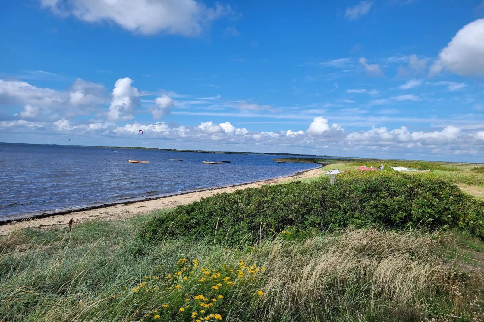 5 Personen Ferienhaus in Tarm-By Traum-Wasserblick