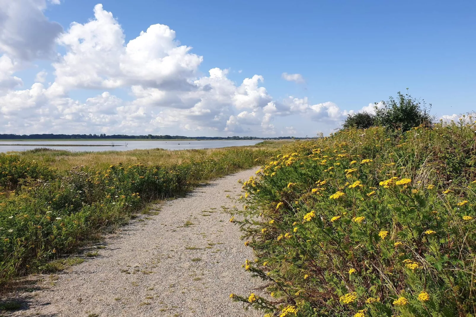 8 Personen Ferienhaus in Bogense-By Traum-Wasserblick