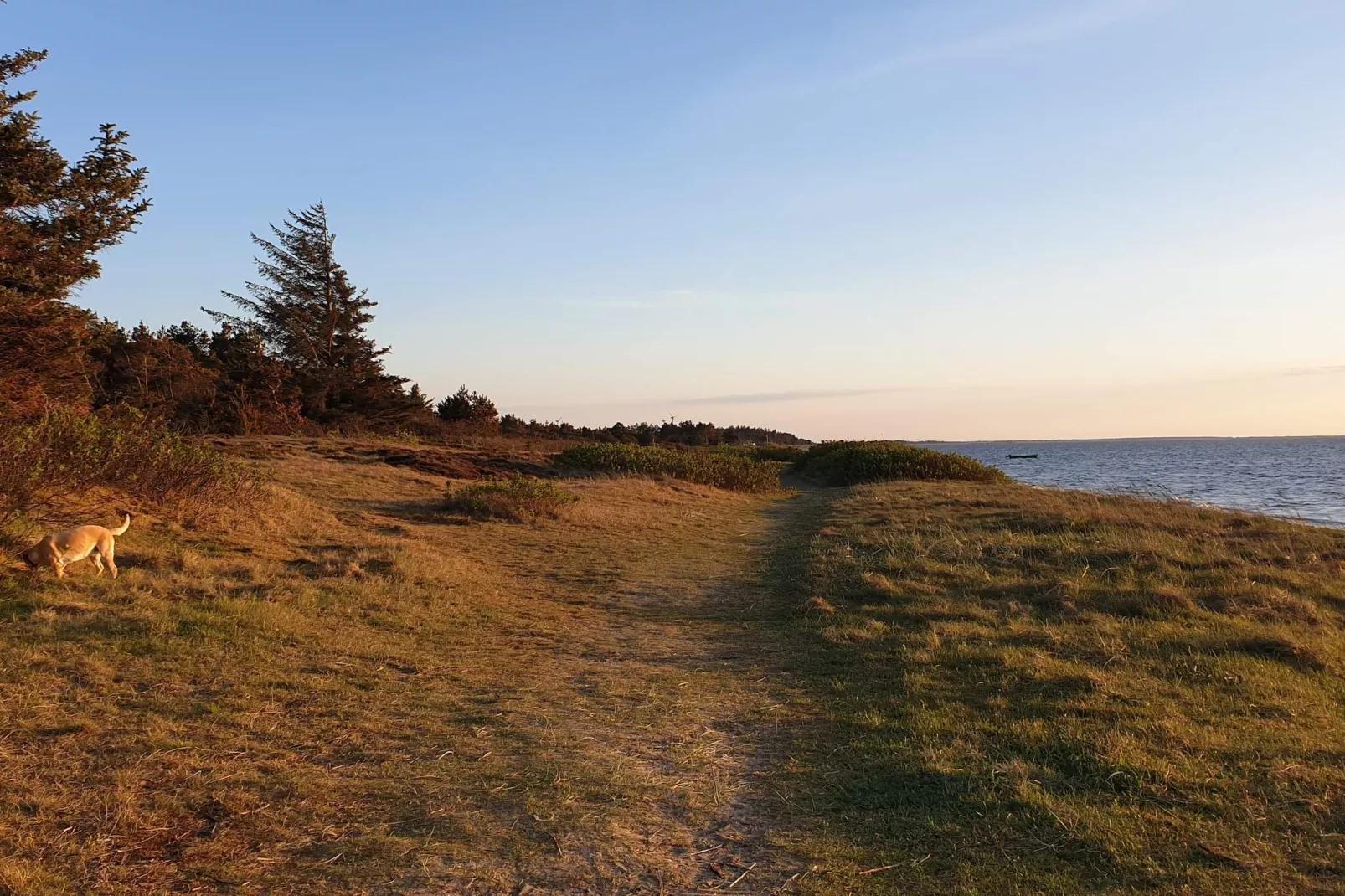 10 Personen Ferienhaus in Tarm-By Traum-Wasserblick