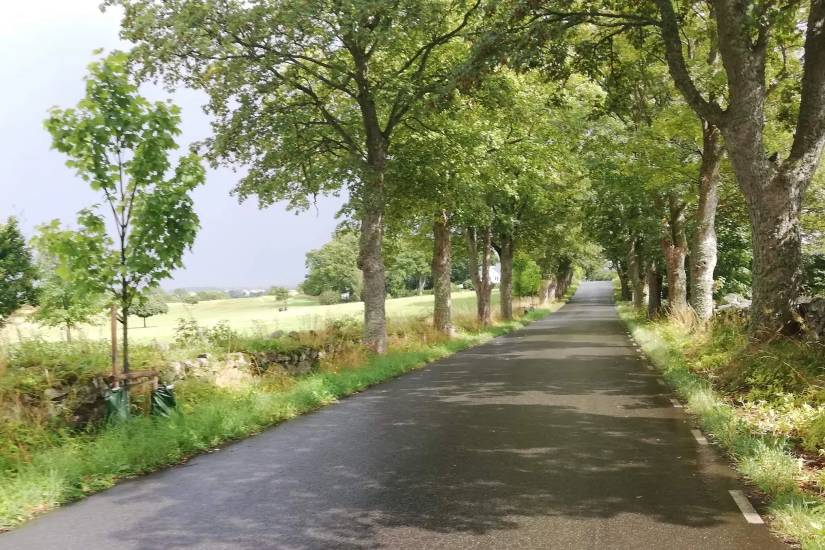 4 person holiday home in EVERÖD-By Traum-Untagged