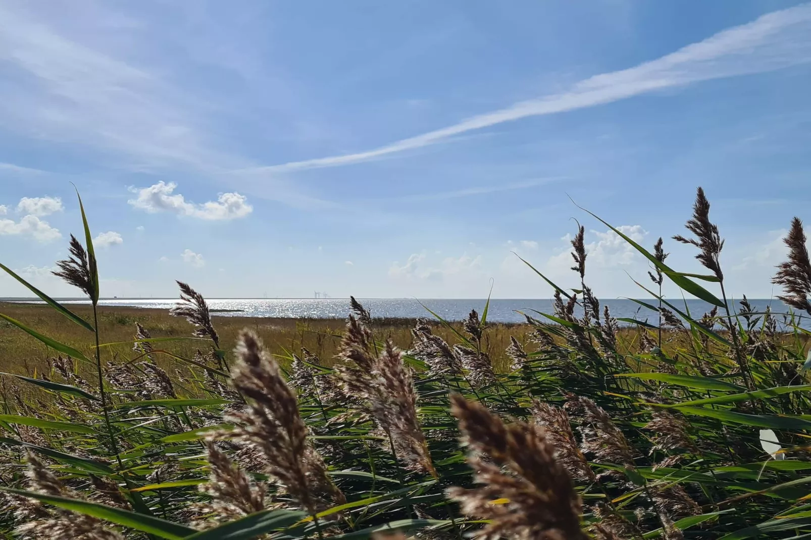 Moderne Kustenrefugium -- By Traum Ferienwohnungen-Nicht zugeordnet
