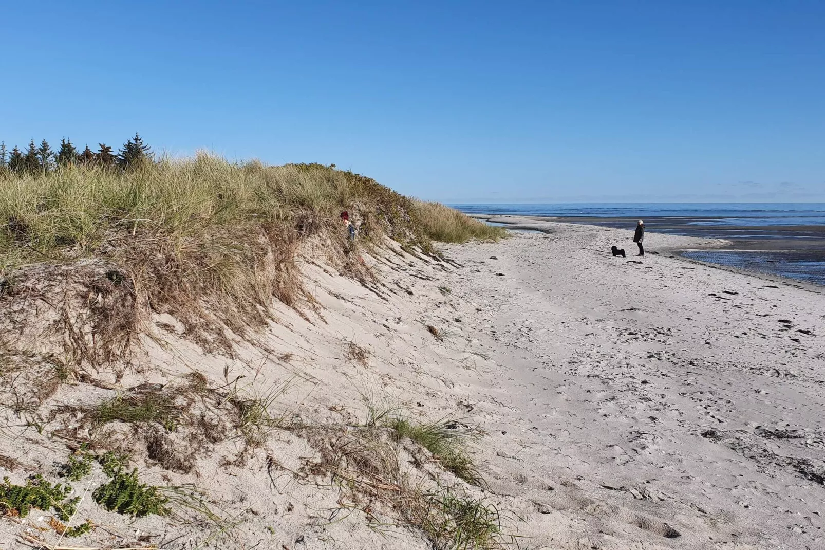 5 Personen Ferienhaus in Hals-By Traum-Wasserblick