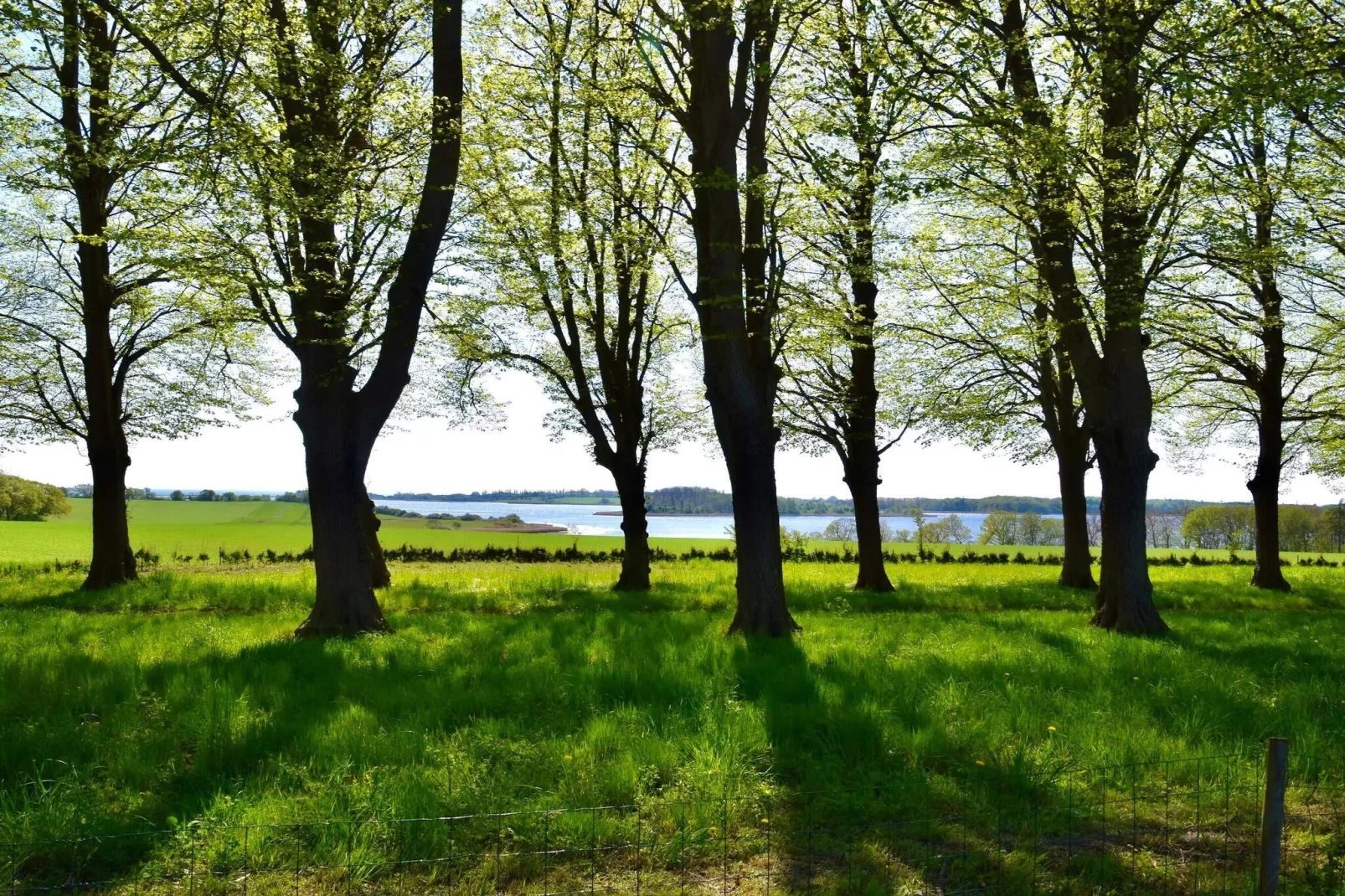 5 person holiday home in Rude-By Traum-Water view