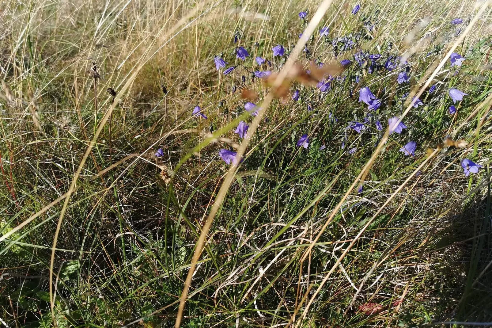 4 Personen Ferienhaus in Skjern-By Traum-Nicht zugeordnet