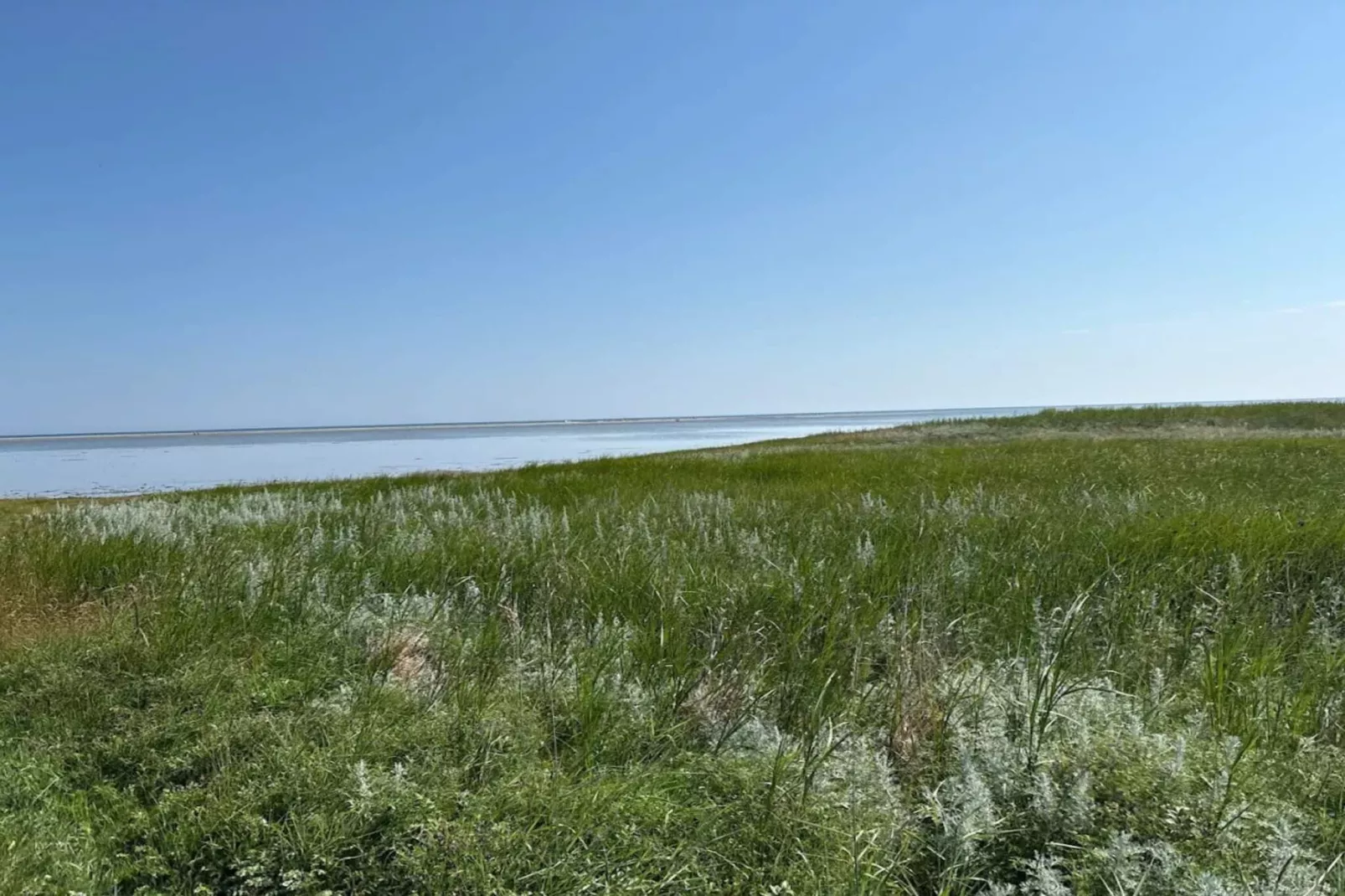 11 Personen Ferienhaus in Ørsted-By Traum-Wasserblick