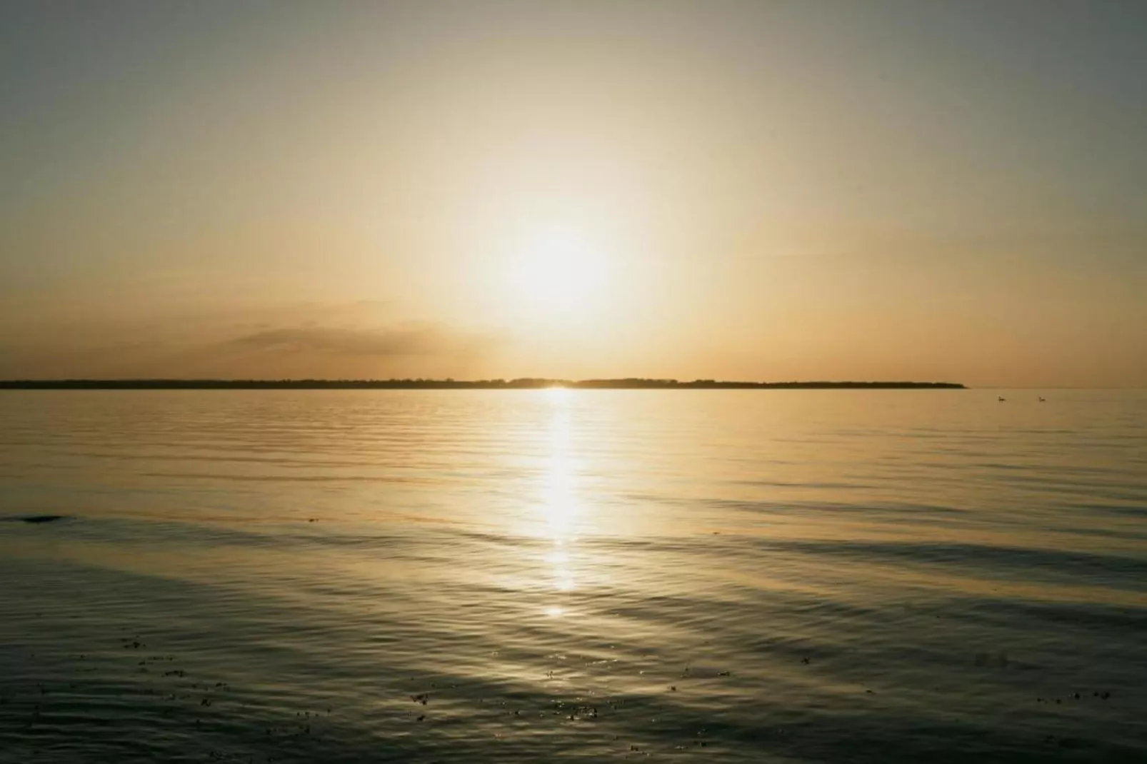 Strandhaus an der Wiek in Strandlage-Areas within 20km in summer