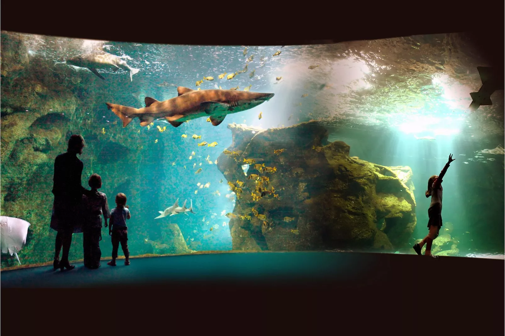 Bourg Est   4-Zones été à 20 km