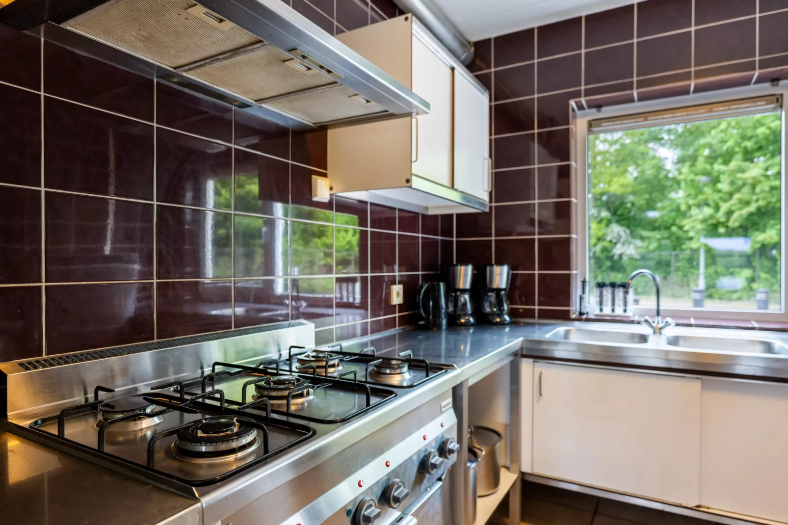 Hunzepark 10-Kitchen