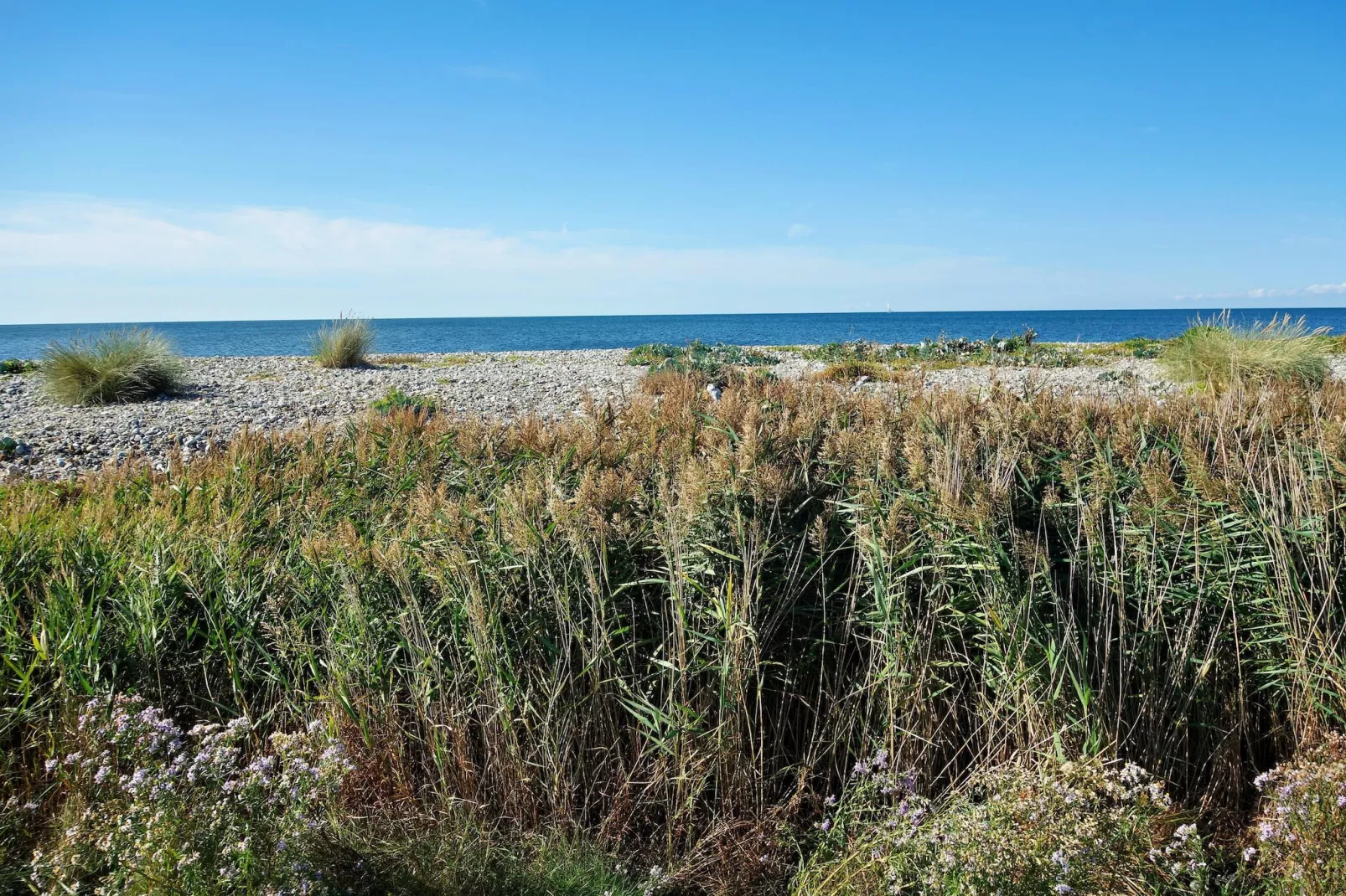 Schlagsdorf 40 EG Feldblick-Gebiete Sommer 5 km