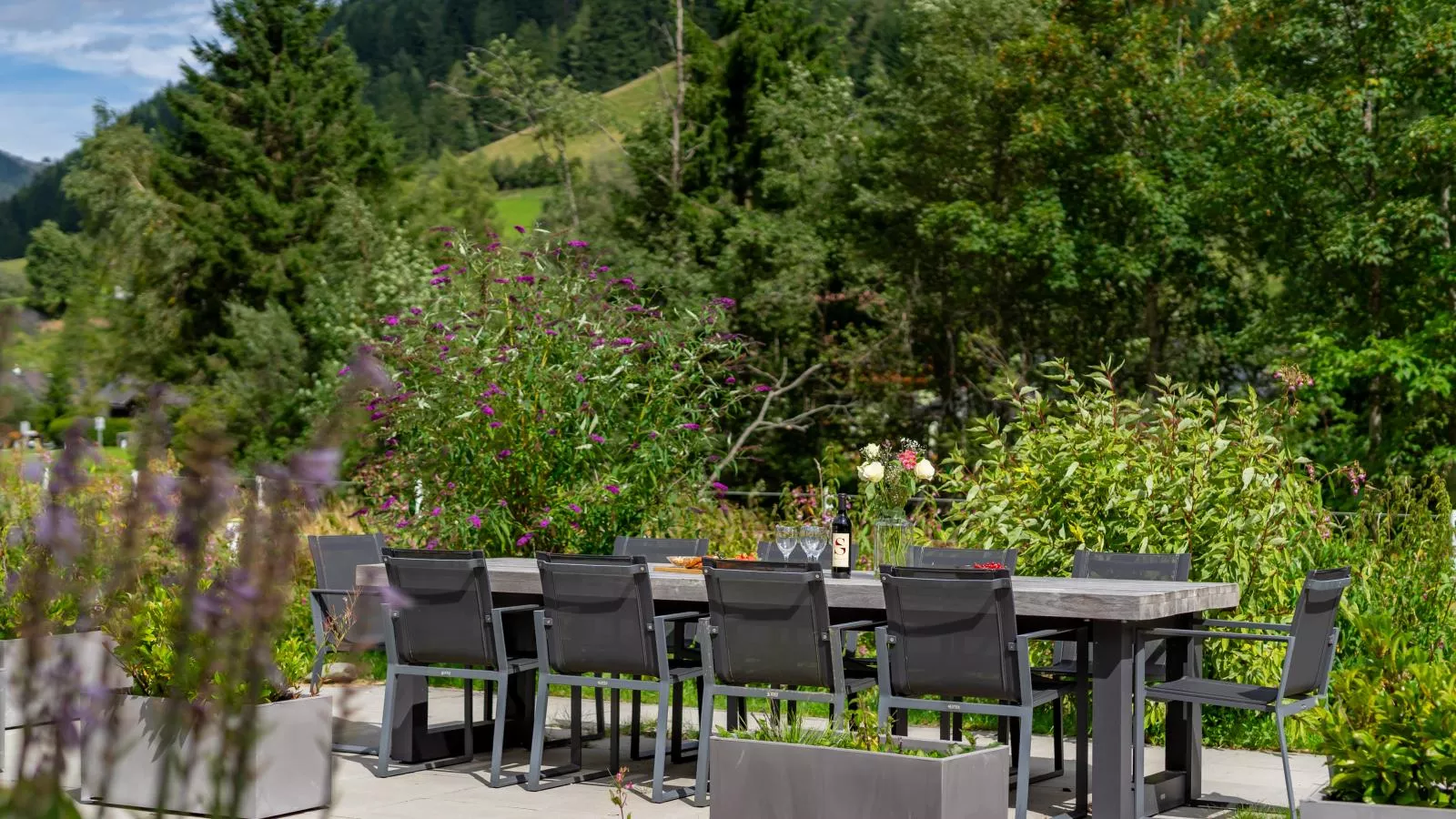 Donnersbach Lodge-Terrace balcony