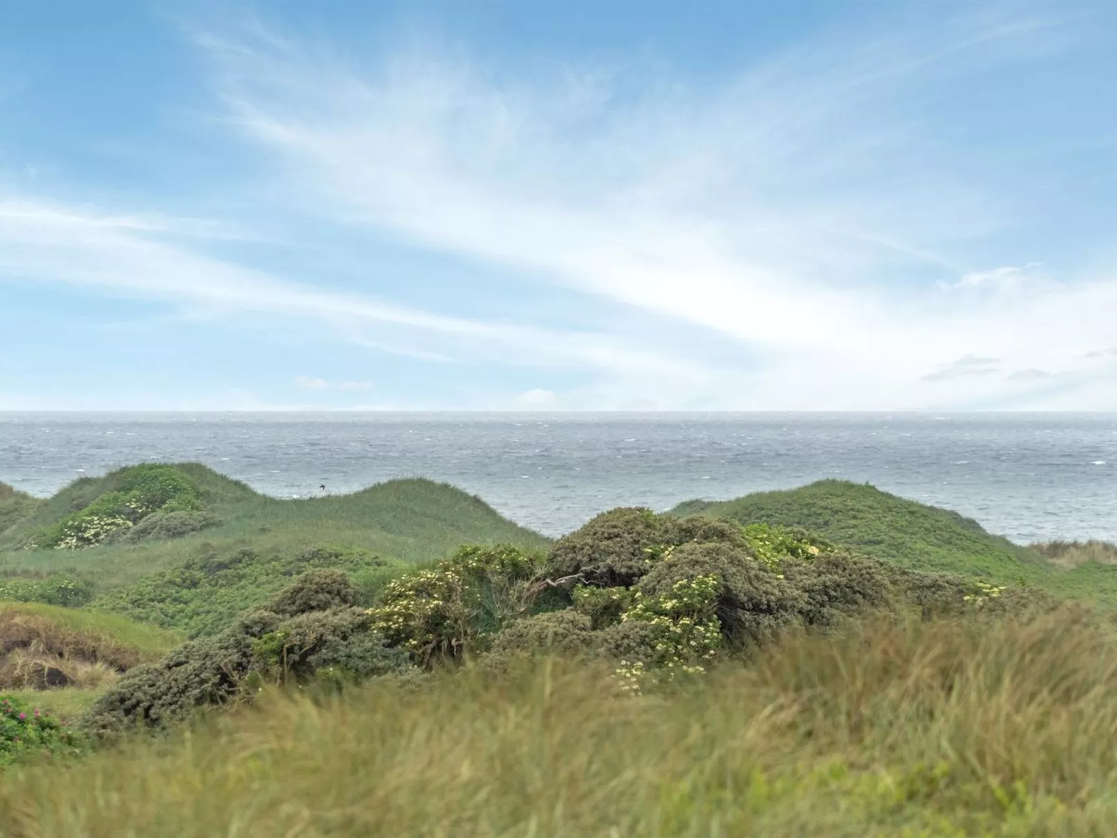 "Viktoria" - 400m from the sea-Outside