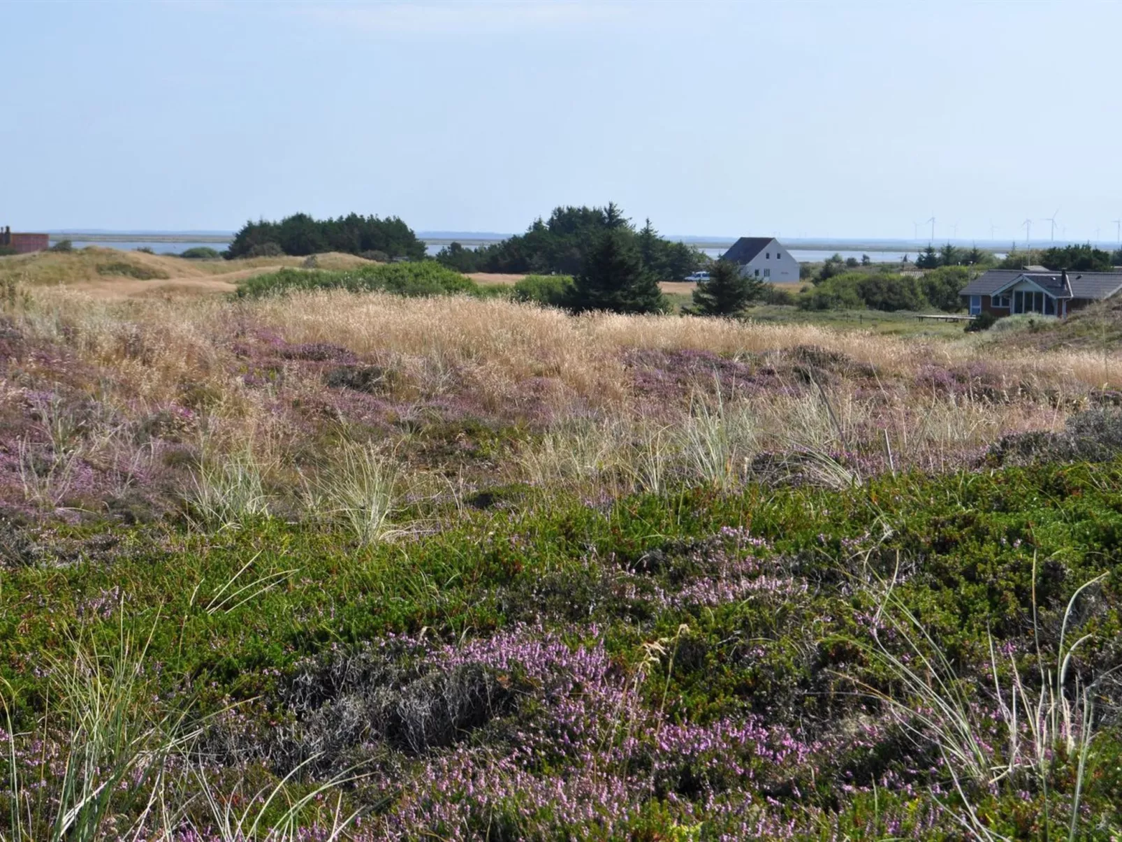 "Arli" - 800m from the sea-Draußen