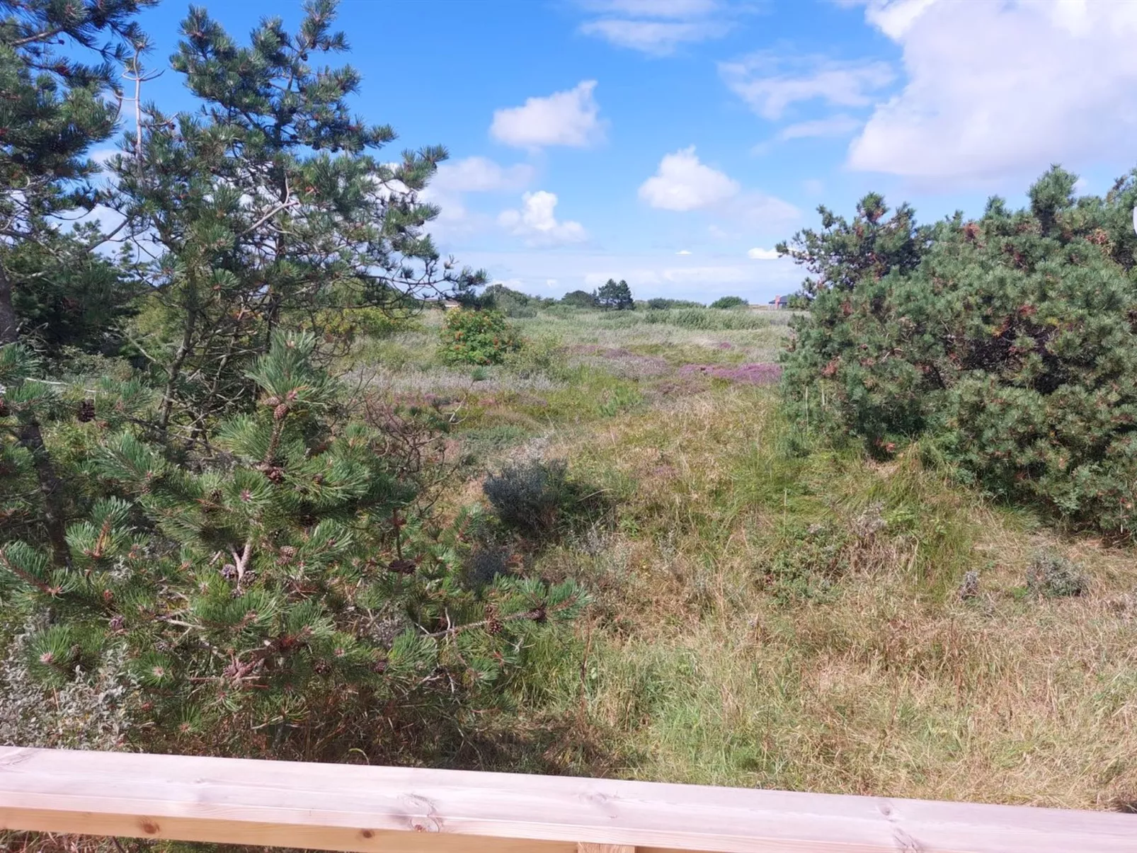 "Elgin" - 1.8km from the sea-Outside