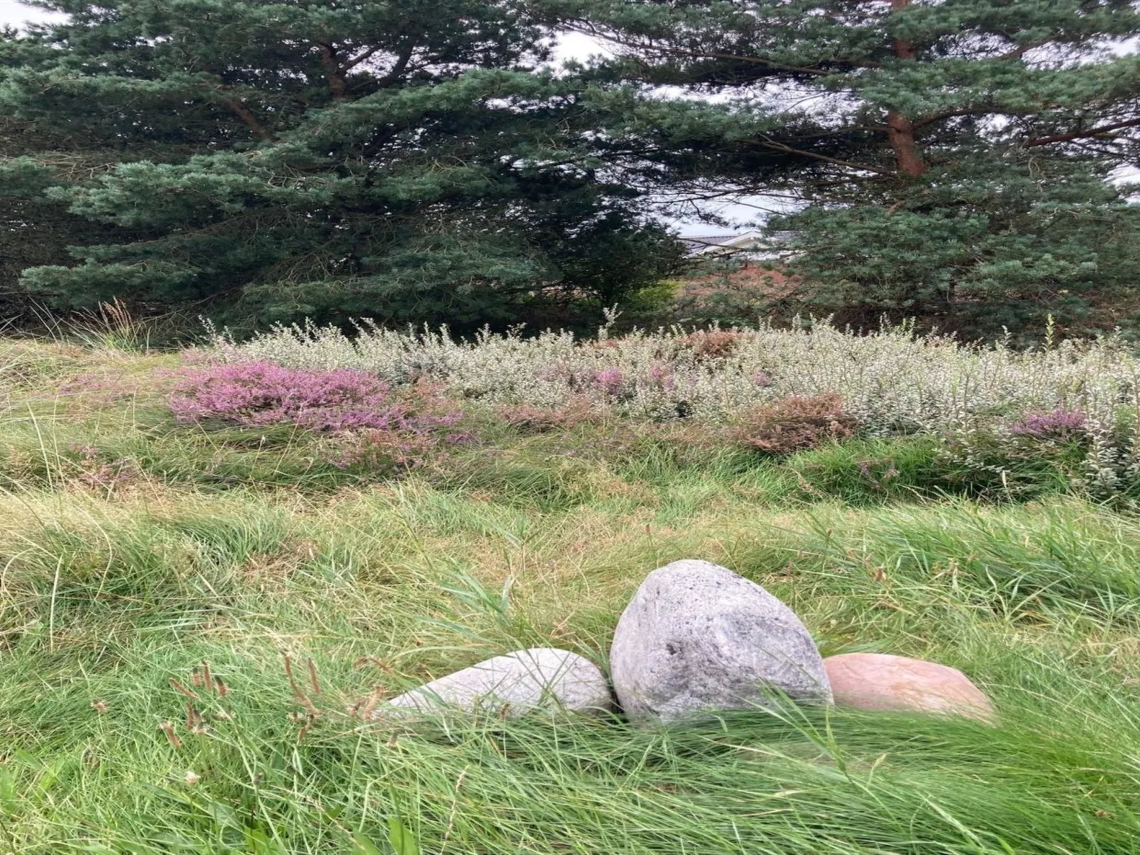 "Andriette" - 4.5km from the sea-Outside