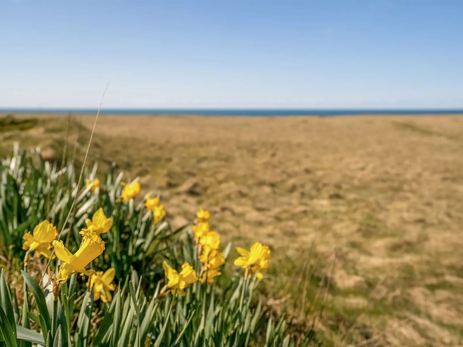 "Hedy" - 150m from the sea-Outside